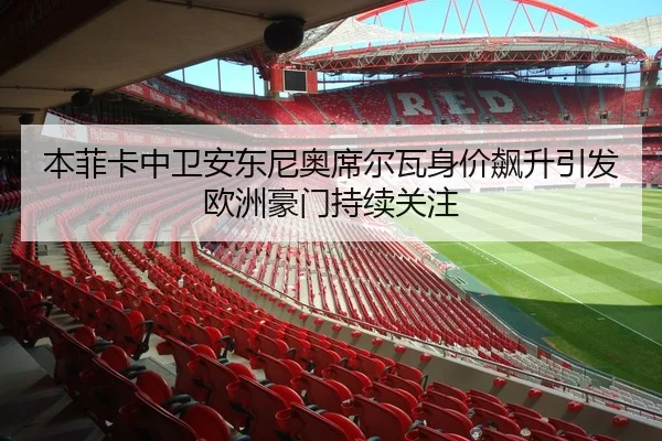 本菲卡中卫安东尼奥席尔瓦身价飙升引发欧洲豪门持续关注